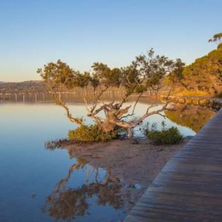 Merimbula